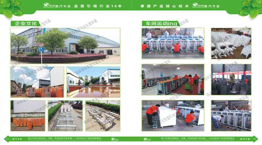 午夜一区二区三区蒸汽發生器電子宣傳冊
