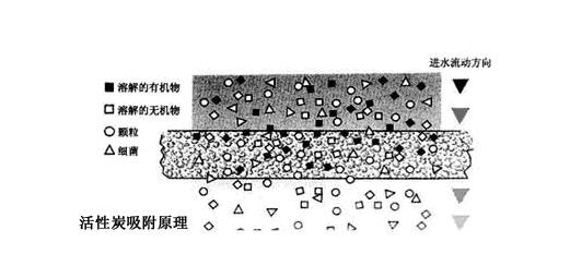 活性炭消毒午夜免费观看视频