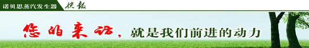 混凝土養護蒸汽發生器