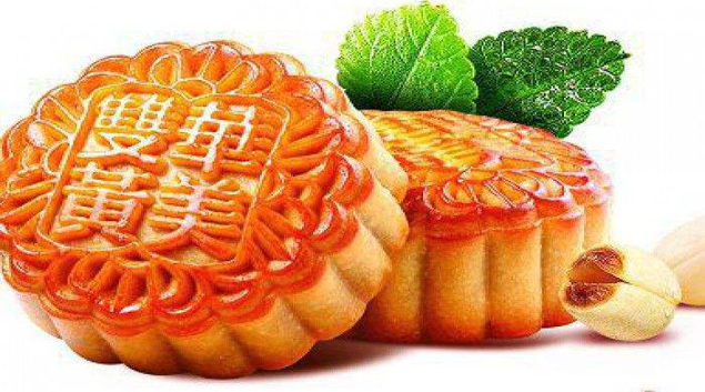 午夜最污视频APP