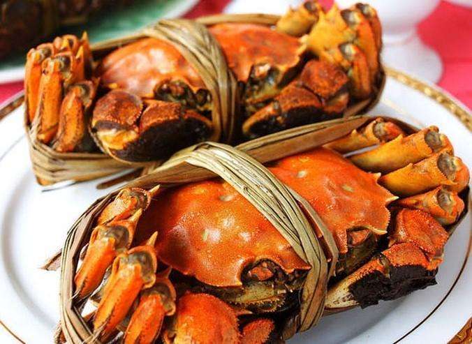 午夜最污视频APP
