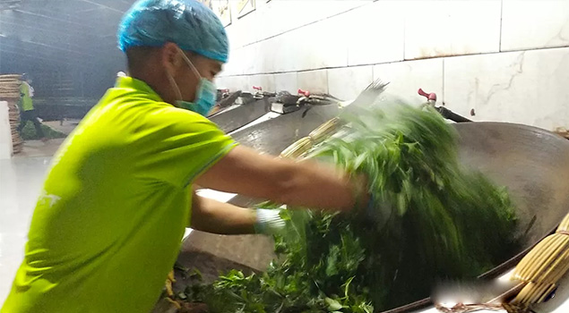 蒸汽製茶