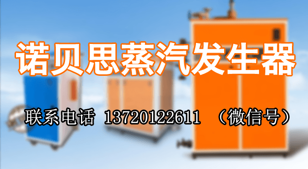 武鋼集團購午夜一区二区三区蒸汽發生器用於食堂蒸飯保溫