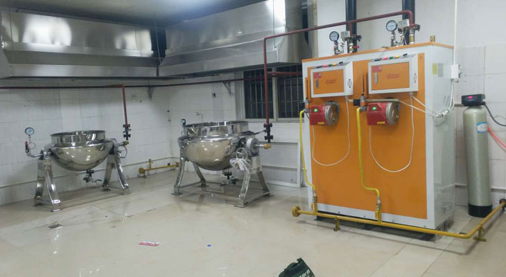 製藥專用蒸汽發生器來賓中醫院使用案例 製藥專用蒸汽發生器來賓中醫院使用案例